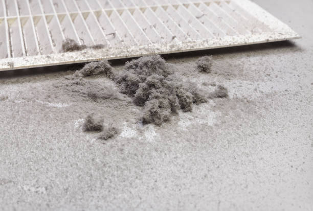 Best Emergency Air Duct Cleaning  in Smyrna, DE