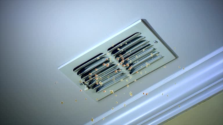 Home Air Vent Cleaning in Smyrna, DE